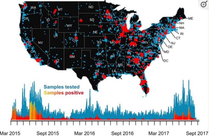A US research found